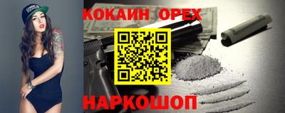 дживик Кингисепп