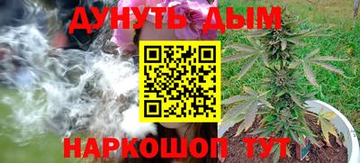 дживик Кингисепп