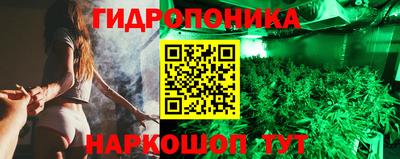дживик Кингисепп