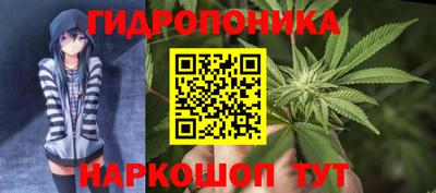 спиды Кимры