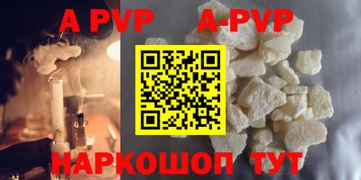 дживик Кингисепп
