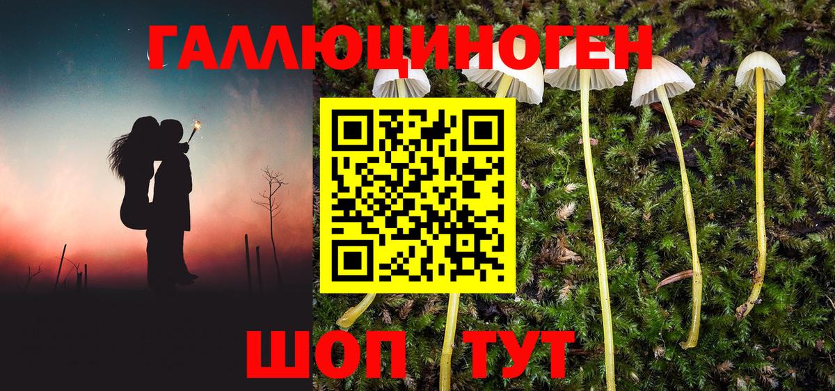 Псилоцибиновые грибы GOLDEN TEACHER  Вход с VPN  Ливны 